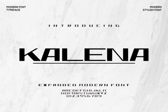 Kalena: A Bold Display Font for Campaign Creatives