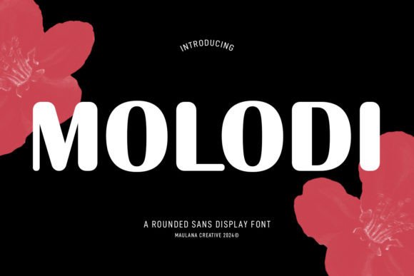 Molodi Rounded Display Font for Small Business Branding